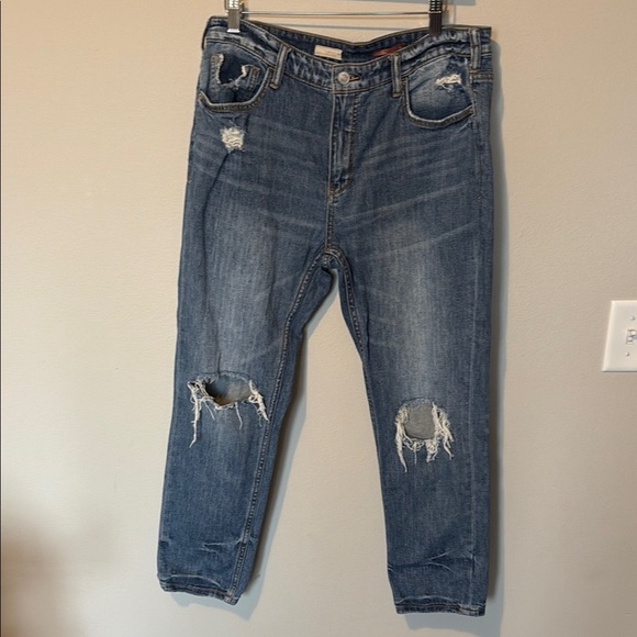 Pilcro Denim - Pilcro by Anthropologie Heritige Boyfriend Distressed Jeans Sz 28 Cropped